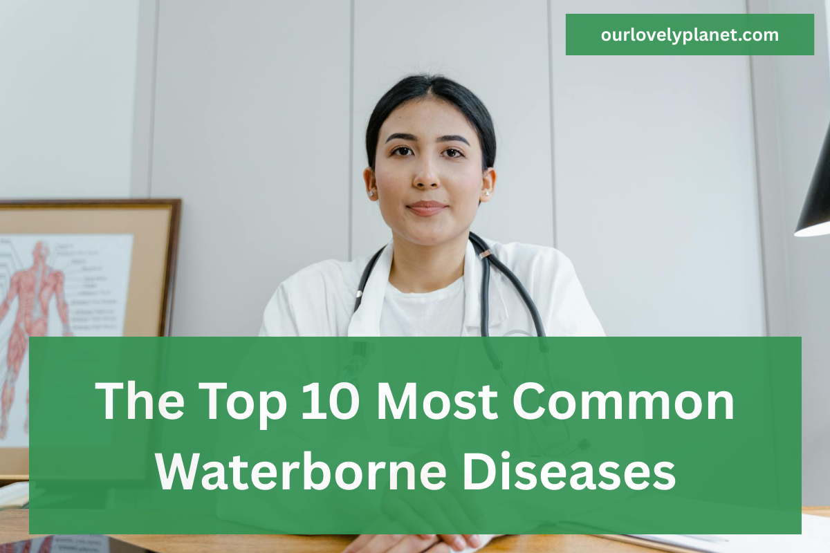 Top 10 waterborne diseases
