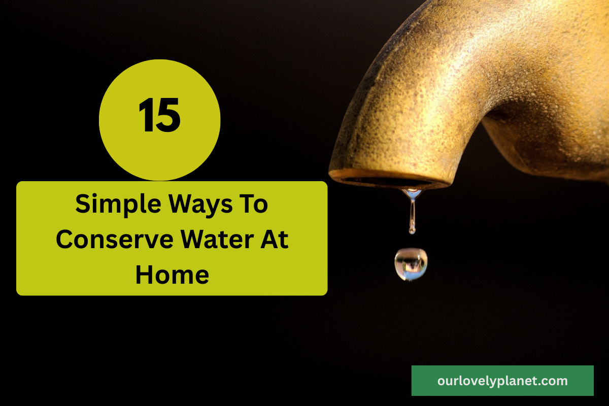 water saving tips