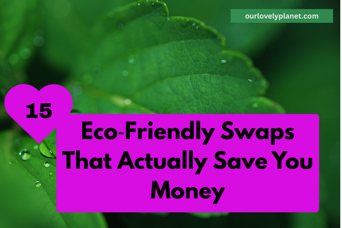 Eco‑Friendly Swaps That Actually Save You Money