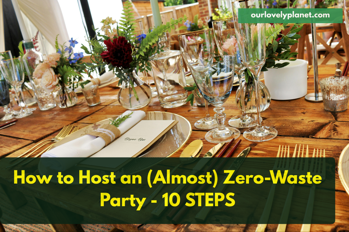 Zero-waste party